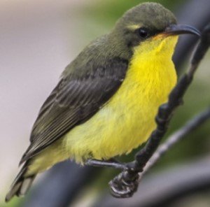 recent-project-img-6