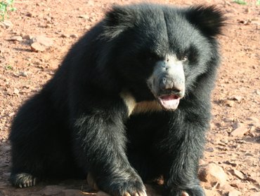 recent-project-img-3