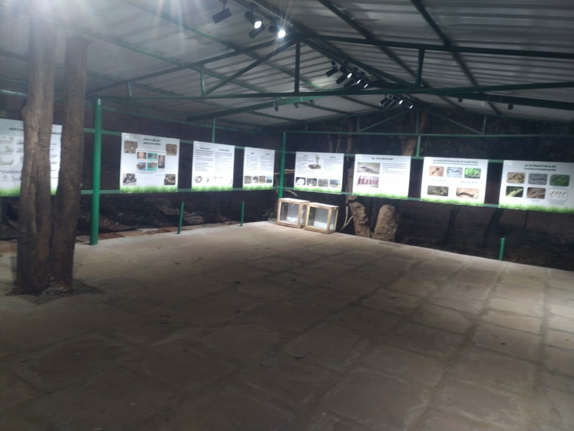 recent-project-img-4