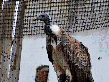 recent-project-img-5