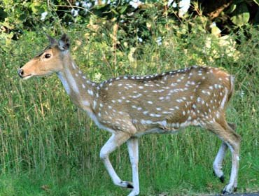 recent-project-img-6