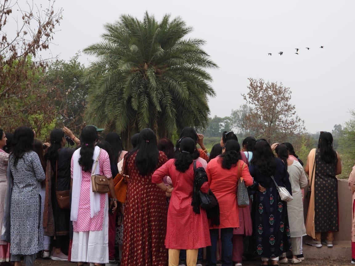 recent-project-img-6