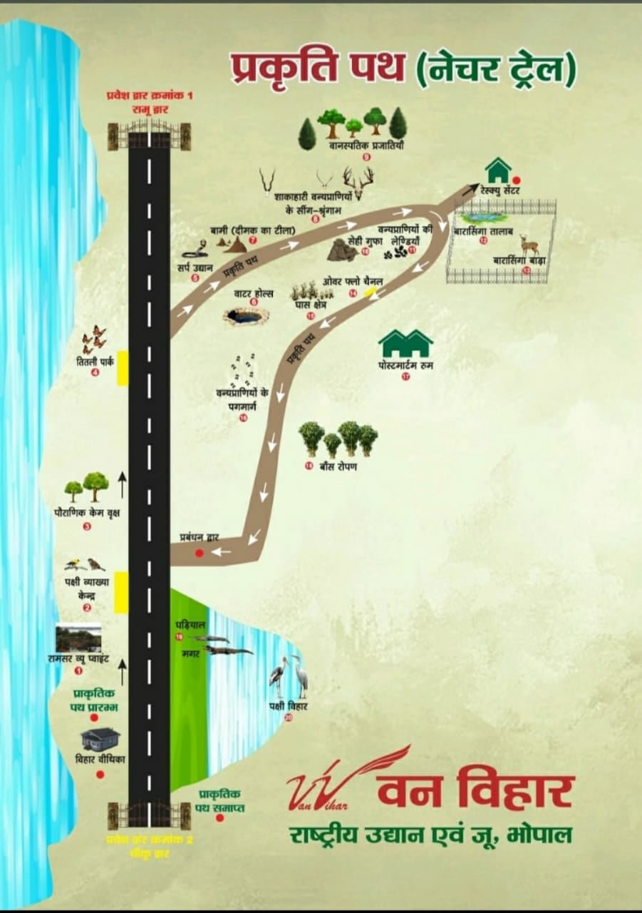 recent-project-img-3